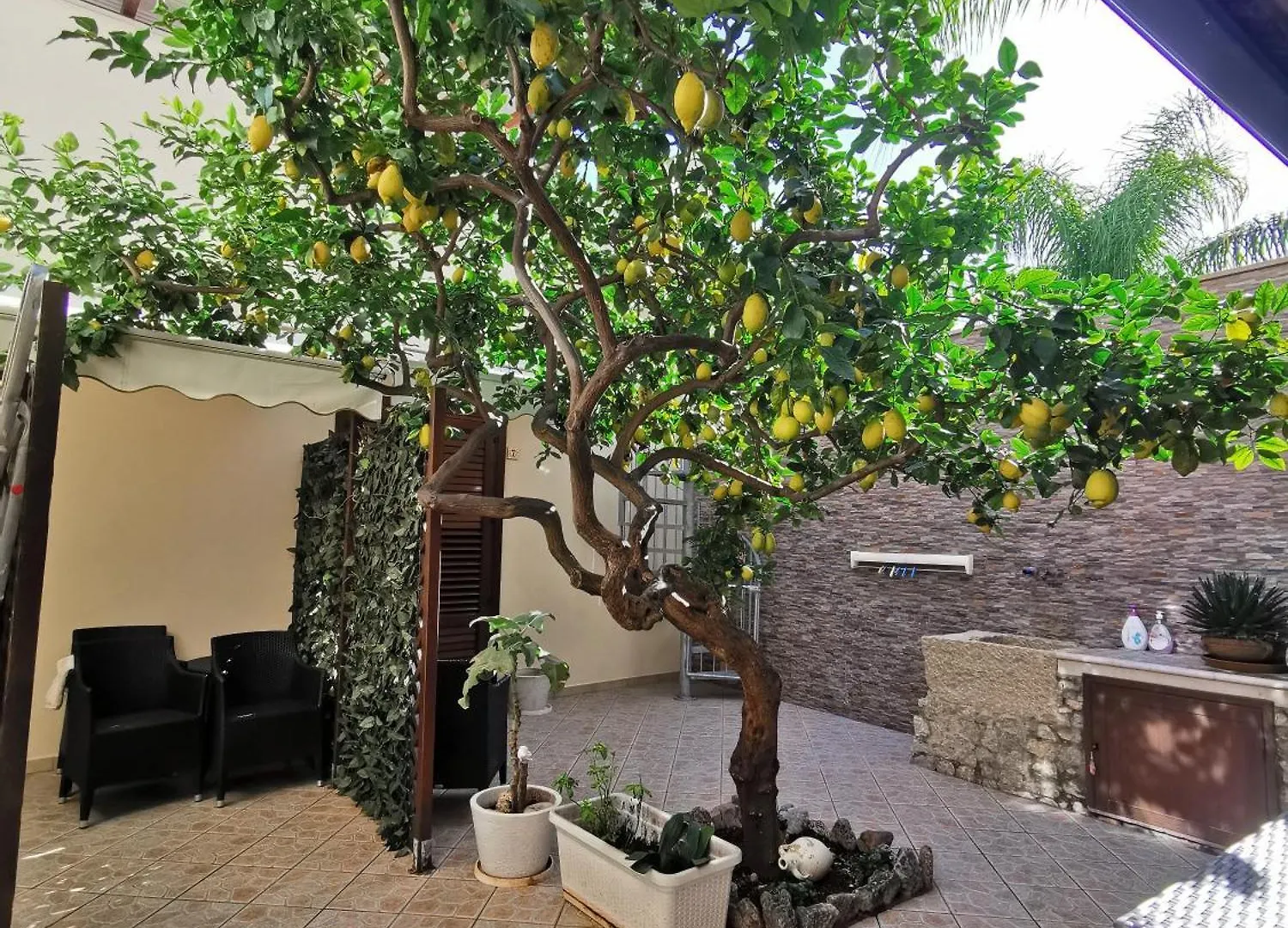 Hotel Il Giardino Del Sol San Vito Lo Capo